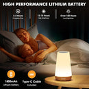 LED Night Light Bedside Lamp Touch and Remote Control Dimmable Tabletop 13 RGB Colors Changing 5 Brightness Adjustable Rechargeable Portable Lamp for Baby Kids Nursery Bedroom Bathroom Outdoor Camping by TinyTreasures Baby Boutique
