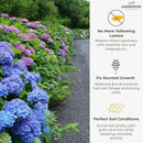 Slow Release Hydrangea Fertilizer with Iron & Sulfur – Indoor & Outdoor Soil Acidifier for Miracle Growth (2 qt) by GreenHaven Gardens
