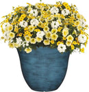 Classic Home and Garden Honeysuckle Resin Flower Pot Planter, Blue Jean, 13" by GreenHaven Gardens