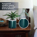 D'vine Dev 4 Inch Design Self Watering Planter for Indoor Plants, White Terracotta Pot with Teal Cylinder Glass Cup, Set of 2, 37-Y-A-5 by GreenHaven Gardens