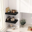 12 Inch Deep Black Floating Shelves, 16 x 12 Floating Shelf for Books, Rustic Wood Deep Wall Shelves for Home Storage & Display, 2" Thicked Shelves for Kitchen, Living Room, Bedroom, 2 Pack by CozyNest Decor