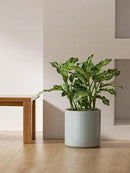 LE TAUCI 12 Inch Pots for Plants, Ceramic Large Plant Pot for Indoor Plants, Mid-Century Modern Flower Planter Pots with Drainage Hole and Removable Plug, Round Planter Pot, Reactive Glaze Blue Gray by CozyNest Decor