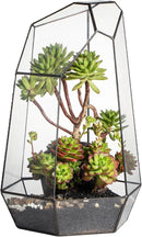 NCYP Large Geometric Terrarium - 16 Inches Tall Irregular Open Glass Terrarium Pot - Home Garden Tabletop Decoration Planter for Air Plants Succulents, Handmade (NO Plants, No Door) by CozyNest Decor