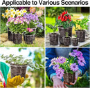 Bonviee Clear Nursery Pots for Plants, 6.7/5/4/3.5 Inch Reinforced Clear Nursery Pots with Drainage Hole, 36 Packs Transparent Plastic Plant Pot Seedling Planter Seed Starter Flower by GreenHaven Gardens