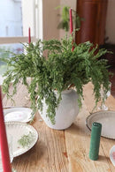 MISSPIN 12 Pcs 22.3 Inches Artificial Christmas Cypress Branches, DIY Crafts Faux Branches for Xmas Indoor Outdoor Home Decor by CozyNest Decor