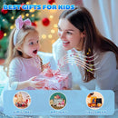 Karaoke Machine for Kids & Adults, Portable Bluetooth Mini Karaoke Speaker with 2 Wireless Microphone and Lights, Birthday Gifts for Girls & Boys, Toys for Girls, Family Home Party (Sky Blue) by TinyTreasures Baby Boutique