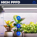 Barrina LED Grow Light 4FT,168W(4 x 42W, 1000W Equivalent), Full Spectrum, V-Shape with Reflector Combo, Grow Lights for Indoor Plants, Greenhouse, 4-Pack by GreenHaven Gardens