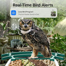 Bird Feeders for Outdoors, Smart Bird Feeder with Camera Solar Powered, AI Species Identification, 3K Video Live Stream Camera, 5Mp HD Night Vision, Instant Arrival Alerts (Light Green) by CozyNest Decor