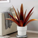 DIY Metal Agave Plant Art Yard Tequila Art Sculpture, Tequila Rustic Garden Sculpture Statue Outdoor Decor,Agave Metal Plants for Yard, Garden Lawn Ornaments (12 Leaves -Yellow) by CozyNest Decor