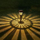 10 Pack Solar Pathway Lights Outdoor - Bright Solar Powered Garden Lights with 3000K Warm LED, Auto On/Off Waterproof Path Lights Decorative, Landscape Lighting for Yard Patio Walkway Driveway by GreenHaven Gardens