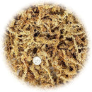 Premium New Zealand Sphagnum Moss - Organic Hand Mixed Long Fibered Sphagnum Moss Orchid - 3 Quart by GreenHaven Gardens