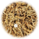 Premium Grade Sphagnum Moss by Gardenera - 10 Quart - Organic Hand Mixed New Zealand Long Fibered Sphagnum Moss Orchid - 2 Bags of 5 Quart by GreenHaven Gardens