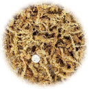 Premium New Zealand Sphagnum Moss by Gardenera - Organic Hand Mixed Long Fibered Sphagnum Moss Orchid - 3 Quart by GreenHaven Gardens