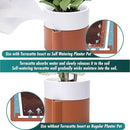 8 Inch Self-Watering Planter Pot with Terracotta Insert, Deep Water Reservoir, and Ceramic-Alike BPA-Free Plastic Planter Pot for Plant, Modern Planter for Houseplants, Terracotta/White, 53-B-T-6 by GreenHaven Gardens