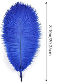 THARAHT Blue Ostrich Feathers 12pcs Natural Bulk 8-10Inch 20cm-25cm for Crafts Wedding Party Centerpieces Easter Gatsbi and Home Decoration Feathers by CozyNest Decor