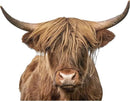 Highland Cow Wall Window Stickers Decor Scottish Cow Wall Decals Peel and Stick Funny Cow Wall Stickers Removable Cool Cow Farmhouse Kitchen Decoration Weird Gifts for Fiends Christmas by CozyNest Decor