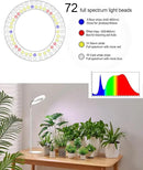 yadoker Plant Grow Light for Indoor Plant,Desk LED Grow Light,Height Adjustable,Automatic Timer with 8/12/16 Hours,10-Level Brightness,Ideal for Small Plant Grow by GreenHaven Gardens