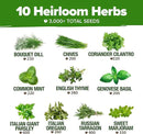 HOME GROWN 10 Herb Seeds for Planting 3,000+ Non-GMO Heirloom Seeds | Extra Large Variety Pack Herb Kit – Indoor Outdoor & Hydroponic | Culinary Seed Set | Grow Your Own Herbs | Gift for Beginners by GreenHaven Gardens
