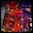 C7 LED Outdoor Halloween Lights 25Ft Orange Christmas String Lights with 27 Shatterproof Orange LED Bulbs, Hanging Outdoor Patio Lights for Christmas Halloween Party Patio Wedding Holiday Decoration by GreenHaven Gardens