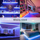 32.8ft(10M) DC 24V Blue COB LED Strip Light IP65 Waterproof 3840LEDs Uniform Glow Dotless Flexible LED Tape Lights for DIY Garden Backyard Hallways Stairs Decoration(No Power Supply) by GreenHaven Gardens