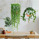 GARDIFE Hanging Planter, 10 inch Hanging planters for Indoor. Outdoor Plants, Self Watering Plant Pot, 2 Pack Large self Watering Hanging Planter, Green by CozyNest Decor