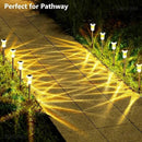 DenicMic Solar Lights Outdoor Pathway Lights 3000K LED Waterproof Acrylic Lamp Head Stainless Steel Stake for Yard Garden Landscape Path Walkway Driveway Patio Lawn (15Pack Warm White) by GreenHaven Gardens