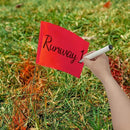 Zozen 100Pack Red Marking Flags, Writable/15x4x5 Inch, Yard Flags for Lawn & Irrigation & Landscape & Sprinkler & Survey & Dog Training. by GreenHaven Gardens