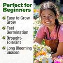 HOME GROWN 23,500+ Moss Rose Seeds (Bulk Pack) Annual Flower for Ground Cover - Heirloom 𝗡𝗢𝗡-𝗚𝗠𝗢 Portulaca Seeds for Planting Outdoors - Great for Low-Maintenance Gardens (Portulaca grandiflora) by GreenHaven Gardens