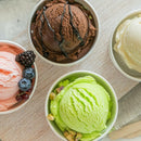 BALCI - 16oz Ice Cream Containers with Silicone Lids (Set of 4) - 1 Pint Each Freezer Food Storage Containers, Reusable, LeakProof, For Homemade IceCream Containers - Blue, Red, Green, Purple by TinyTreasures Baby Boutique