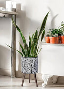D'vine Dev 12 Inch Planter Pot with Stand, Mid-Century Tall Plant Pot with Legs for Indoor Plants, Large, White/Grey, 88-L-C-7 by GreenHaven Gardens