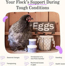 Grubbly Farms Vitamins + Electrolytes Water Supplement for Chickens (30 Day) by GreenHaven Gardens