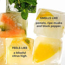 Boy Smells Citrush Candle – Bright Citrus Aroma – Warm Musk Finish – Pomelo Oil – Clean Burning Scented Candle – Long-Lasting Fragrance Throw – Vegan Soy Wax Blend – 9oz Glass Jar by CozyNest Decor