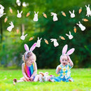 Cheerland Bunny Garland Party Decorations Cute Rabbit Carrot Banner Hanging Streamer for Girls Kids Birthday Baby Shower Classroom Home Office Decor Easter Garden Animal Tea Parties Supplies 2pcs by CozyNest Decor