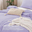 Litanika Lavender Purple Comforters Queen Size, 3 Pieces Lightweight Solid Bedding Comforter Set, All Season Fluffy Bed Set (90x90In Comforter & 2 Pillowcases) by CozyNest Decor