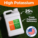 Simple Lawn Solutions - High Potassium Lawn Food Liquid Fertilizer 0-0-25 - Concentrated Spray - Turf Grass Vigor and Plant Hardiness - Summer and Fall - Any Grass Type (2.5 Gallon) by GreenHaven Gardens