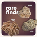 Dan&Darci Rock Collection for Kids - Includes 250+ Bulk Rocks, Gemstones & Crystals + Genuine Fossils and Minerals - 2 Lbs. - Geology Earth Science STEM Toys Activity, Gifts for Boys & Girls Ages 6+ by TinyTreasures Baby Boutique