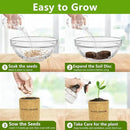 Bonsai Tree Kit, Bonsai Starter Kit with 4 Bonsai Tree Seeds, Tools & Planters, Bonsai Tree Live Plants Indoor, Gardening Gifts for Women Men Mom Father Plant Lover, Unique Christmas Gifts by GreenHaven Gardens