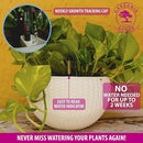 GARDENIX DECOR 11'' Self Watering Hanging planters for Indoor Plants - Flower Pot with Water Level Indicator for Plants, Hanging pots - Self Watering Planter Plant Pot-Coco Coir- Round 1 Pack - White by GreenHaven Gardens
