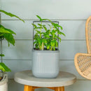 Vego garden Mini Planter Indoor Pots with Trellis Self-Watering Herb Countertop Planter for Climbing Vegetables Flowers Mint Plants Cage- Fog Gray by GreenHaven Gardens