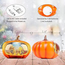 Fall Decor Snow Globe Lighted Pumpkin Thanksgiving Decoration Swirling Glitter Snow Globes Pumpkin Table Accent for Fall Harvest Day Decorations,Pumpkin&Scarecrow by CozyNest Decor