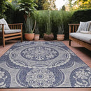 Medallion Outdoor Rug 6x9 Washable Outside Carpet for Indoor Patio Porch Waterproof Easy Cleaning Non Shedding Area Rugs Blue 6 x 9 by CozyNest Decor