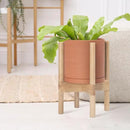 D'vine Dev Terracotta Planter with Natural Stand - 8 Inch Modern Round Flower Pot with Wood Planter Holder, Terracotta, 55-B-N-5 by CozyNest Decor