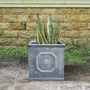 Kante Square Lion Head Concrete Planter, Classic English Style Plant Pot with Drainage Hole and Rubber Plug for Indoor Outdoor Garden Patio Home, 12.6"x12.6"x12.6" Antique Gray by GreenHaven Gardens