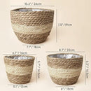 LA JOLIE MUSE Seagrass Planter Basket Indoor Outdoor, Flower Pots Cover, Plant Containers, Beige, 10 inch by GreenHaven Gardens