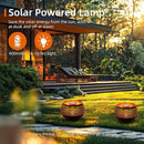 Outdoor Waterproof Lantern, High-Quality Flame Solar-Powered LED Light, Perfect for Gardens, Patios, Deck, Desktops, Pathways, Landscapes, and Lawns Decorations. (L1048) by GreenHaven Gardens