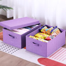 HOONEX Foldable Storage Bins with Lids, Pack of 2, Storage Boxes with 2 Carrying Handles and Sturdy Heavy Cardboard, 16.5" L x 11.8" W x 7.5" H for Shoes, Books, Clothes, Purple by TinyTreasures Baby Boutique