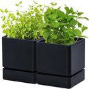 4 Inch Herb Planter Pot, Plastic Planter with Drainage Holes and Saucer, Modern Decorative Gardening Pot for Indoor Plants, Flowers, Herbs, Succulents, Black, Set of 2, 76-Y-B-2 by GreenHaven Gardens