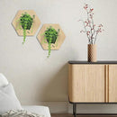 Hexagonal Wooden Wall Planter, Self Watering Living Vertical Planters Indoor, Wooden Frame Planter Wall Decoration Home Office 2pc by CozyNest Decor