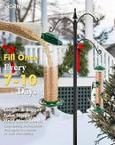 iBorn Metal Bird Feeder for Outside Hanging,Wild Bird Feeders for Cardinal,18cm Large Roof&Green,42CM Long,4.5lb High-Capacity(Seed is not Included) by CozyNest Decor