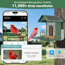 Smart Bird Feeder with Camera, AI Species Identify, Dual Solar Powered Birdfeeder Cam for Outside IP65 with 2.4GHz WiFi, 2K HD Auto Capture Birds Video for Bird Lover (Green) by CozyNest Decor